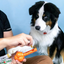 Juguete Para Perro Nylabone Power Chew Sneaky Snacker Bacon Flavor Giant