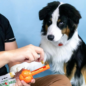 Juguete Para Perro Nylabone Power Chew Sneaky Snacker Bacon Flavor Giant