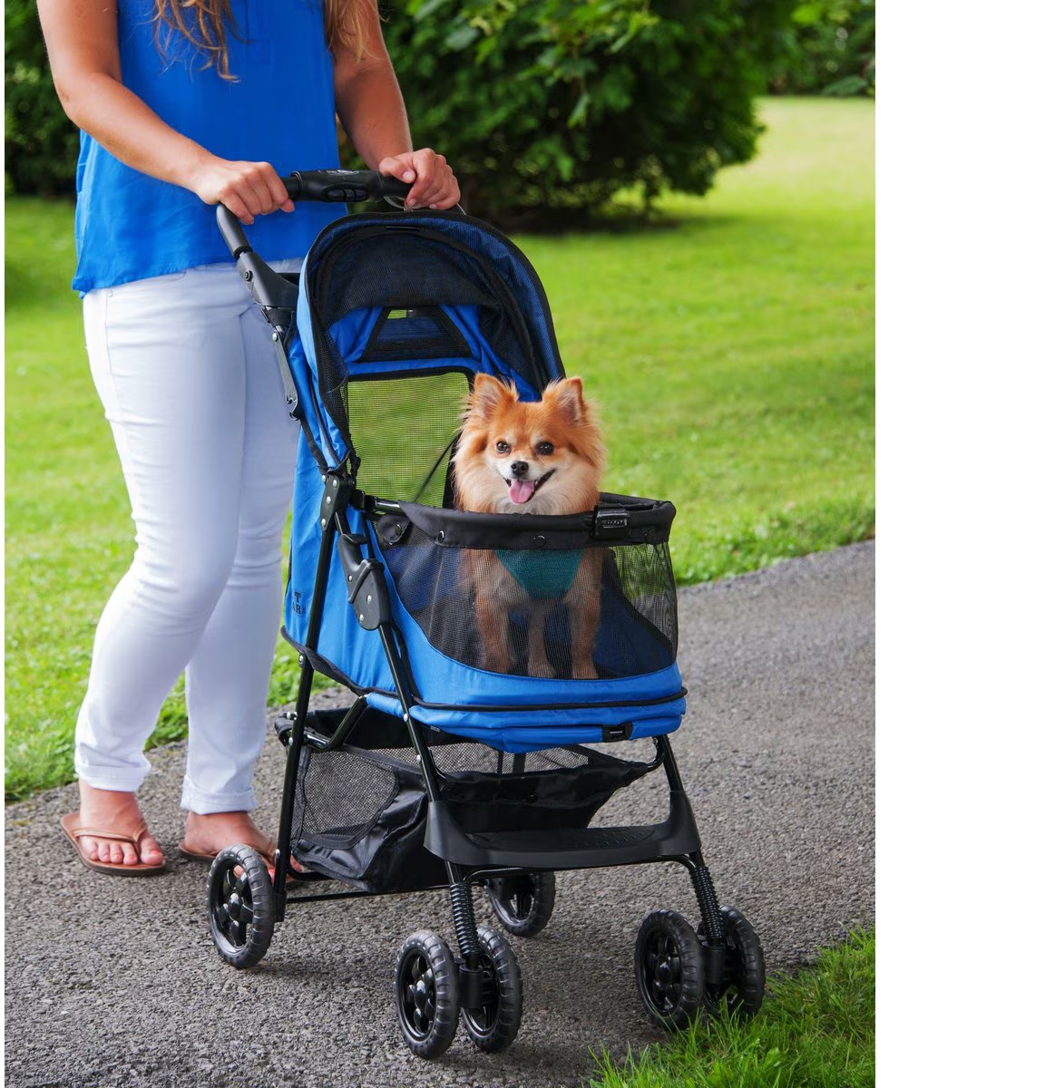 Caruaje para Perros Rosewood Blue