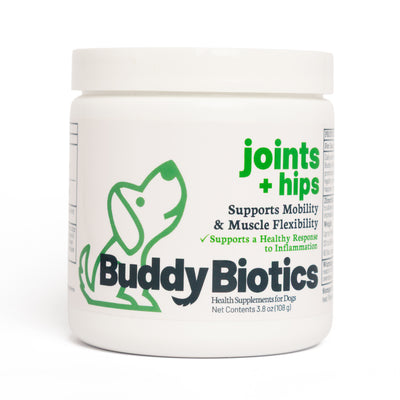 Suplemento para Perro Buddy Biotics Joint & Hips en polvo