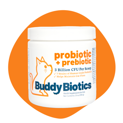 Suplemento para Gato Buddy Biotics Probiotic & Prebiotic en polvo