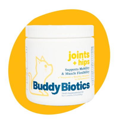 Suplemento para Gato Buddy Biotics Digestive Joint & Hips en polvo