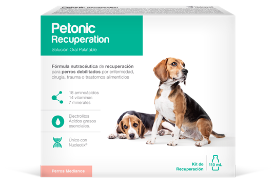 Medicamento Para Perro Petonic Recuperation