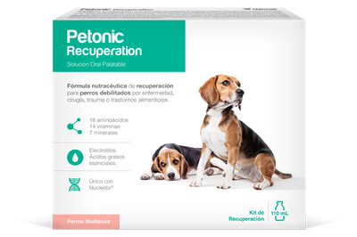 Medicamento Para Perro Petonic Recuperation