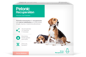 Medicamento Para Perro Petonic Recuperation