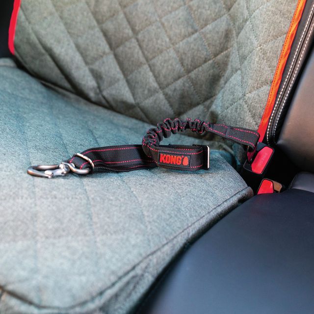 Correa de Asiento para Perro Kong Travel