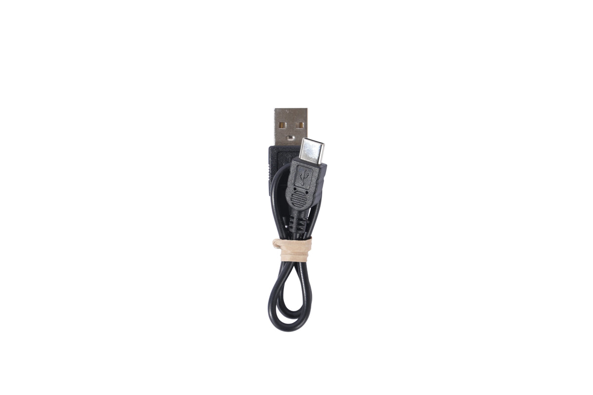 Accesorio para perro M-Pets Flash LED