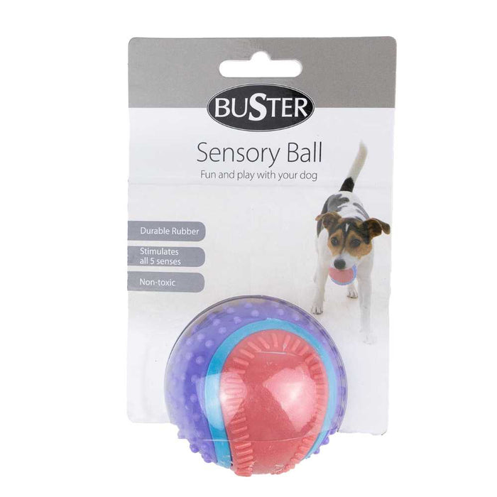 Juguete Para Perro Buster Pelota Sensorik