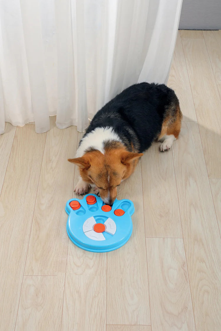 Juguete Inteligente para Perro M-Pets Darwin