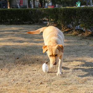 Juguete Para Perro M-Pets Pelota Rugby