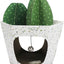 Rascador Para Gato American Cat Club Forma de Maceta con Cactus