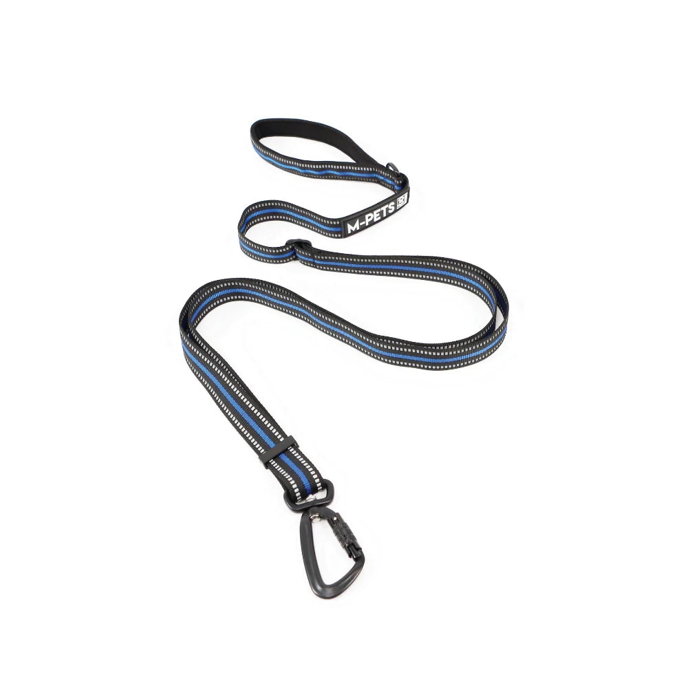 Correa para perro M-Pets color azul eléctrico