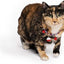 Collar Para Gato M-Pets Con Cascabeles