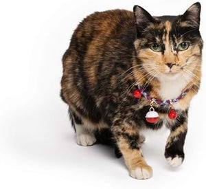 Collar Para Gato M-Pets Con Cascabeles