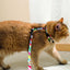 Arnes Para Gato M-Pets Urbanstyle Set con Correa Multicolor