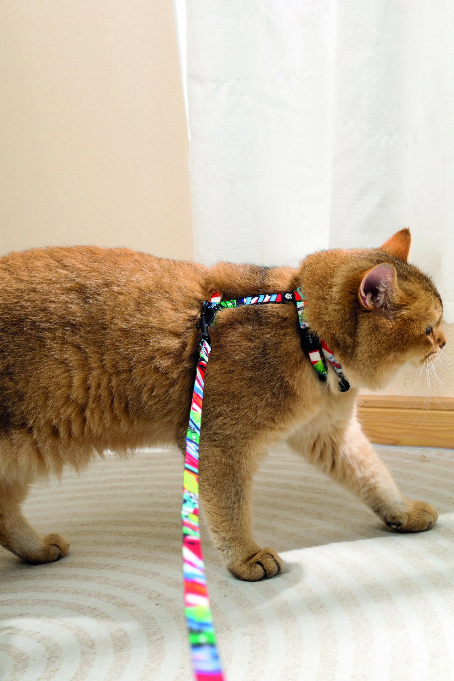 Arnes Para Gato M-Pets Urbanstyle Set con Correa Multicolor