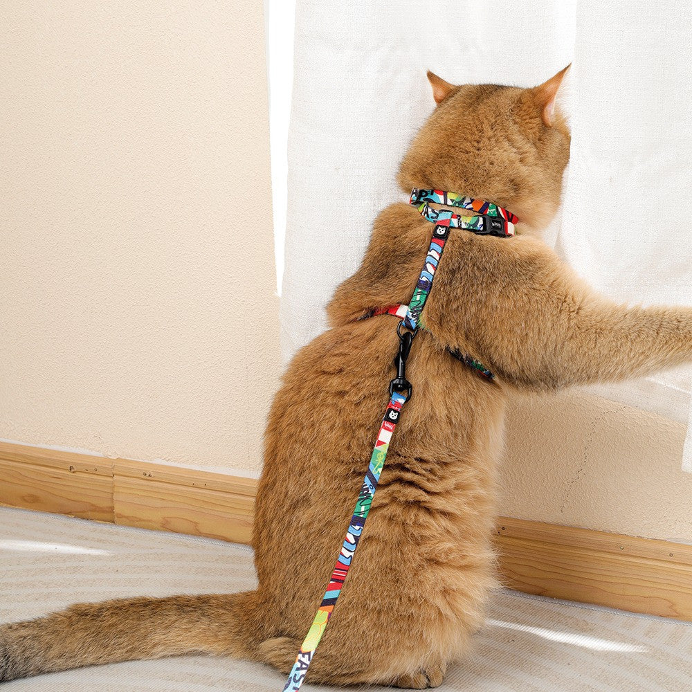 Arnes Para Gato M-Pets Urbanstyle Set con Correa Multicolor