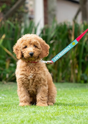 Accesorio Para Perro MultiPet Im Friendly Leash Wrap
