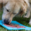 Accesorio Para Perro LickiMat Soother Turquiose