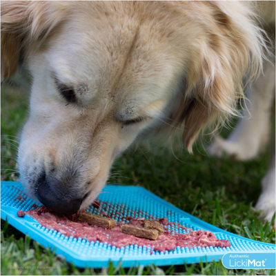 Accesorio Para Perro LickiMat Soother Turquiose