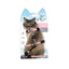 Arnés para gato M-Pets set con correa Gentle Cat rosado
