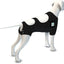 Chaleco Protector Para Perro Calm Paws Con Disco Calmante