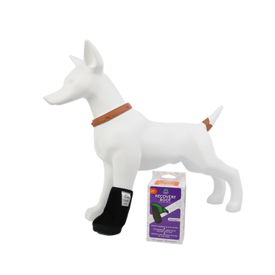 Bota Protectora Para Perro Calm Paws