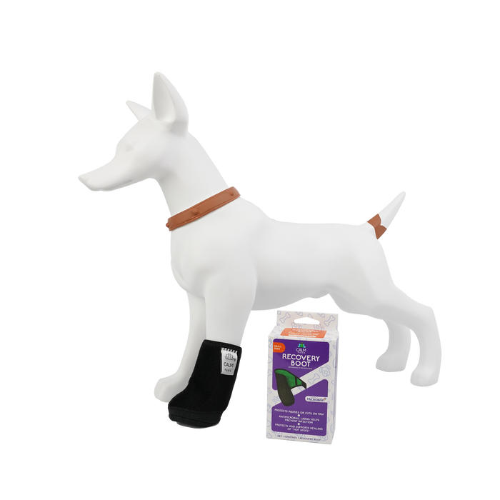 Bota Protectora Para Perro Calm Paws