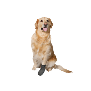 Bota Protectora Para Perro Calm Paws