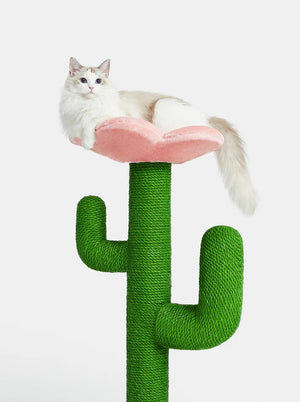 Rascador Para Gato Vetreska Blooming Cactus Cat Tree