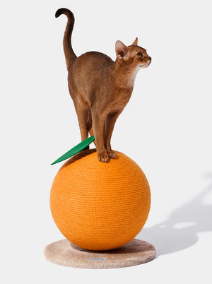 Rascador Para Gato Vetreska Tangerine Cat Scratching Ball