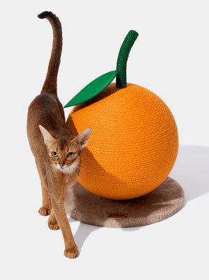 Rascador Para Gato Vetreska Tangerine Cat Scratching Ball