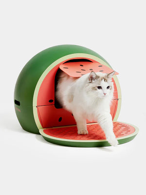 Arenero Para Gato Vetreska Watermelon Kitty Kove