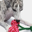 Juguete Para Perro Vetreska Cherry Knot Rope Toy