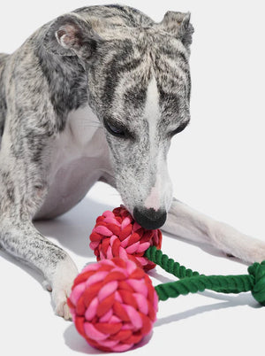 Juguete Para Perro Vetreska Cherry Knot Rope Toy