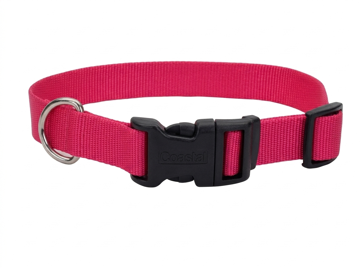 Collar para perro Coastal Nylon Adjustable Plastic Buckle rosado Flamingo