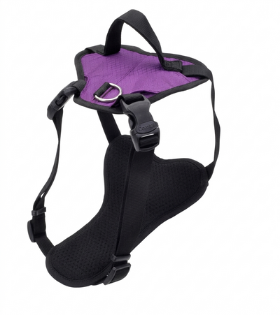 Arnés para perro Coastal Inspire ajustable morado