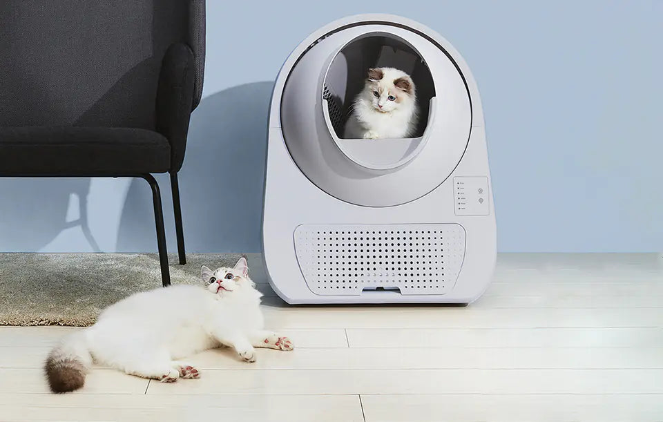 Arenero Automático para Gato Catlink Self-Cleaning Litter Box