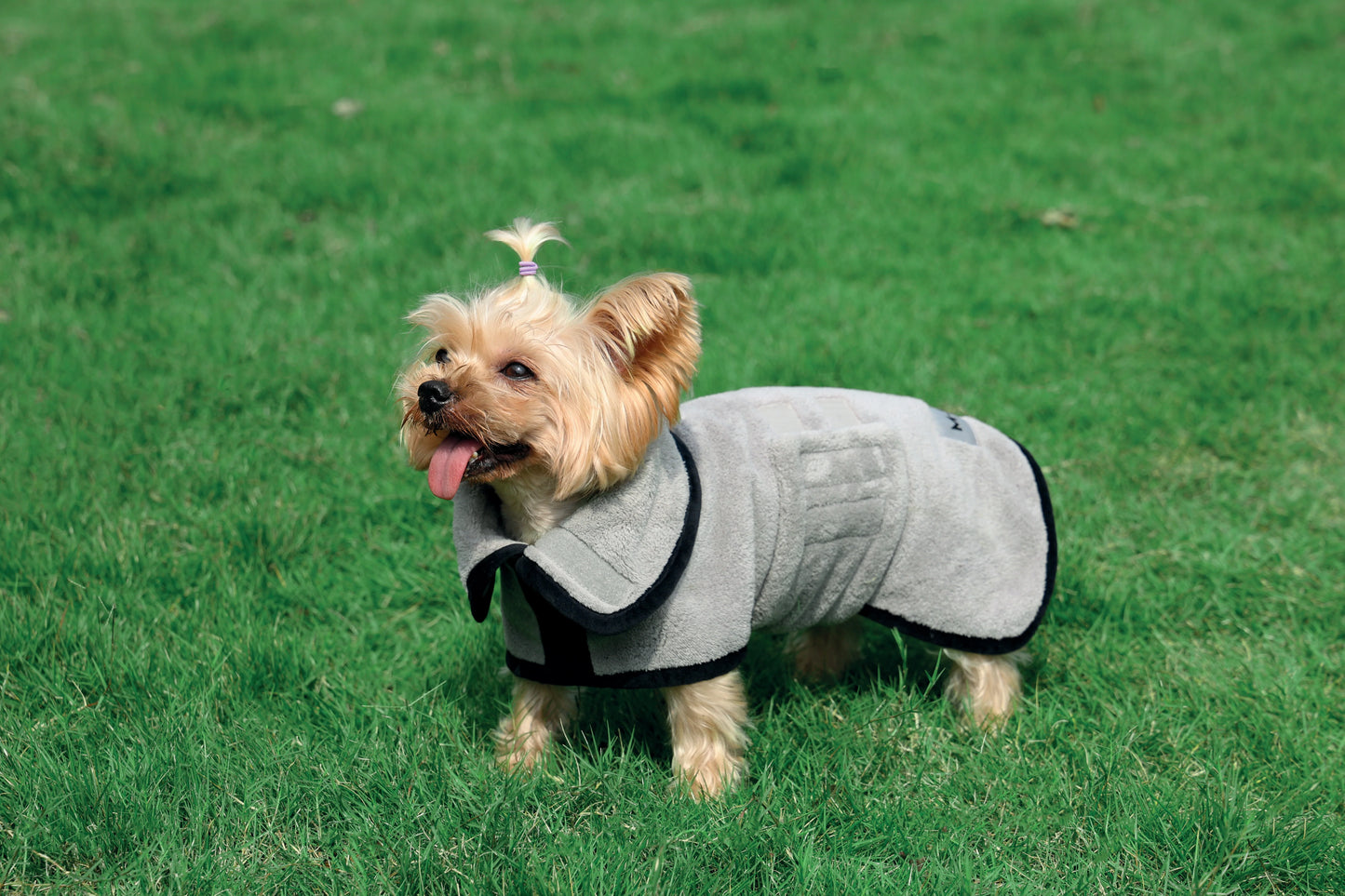 Bata Para Perro M-Pets Color Gris