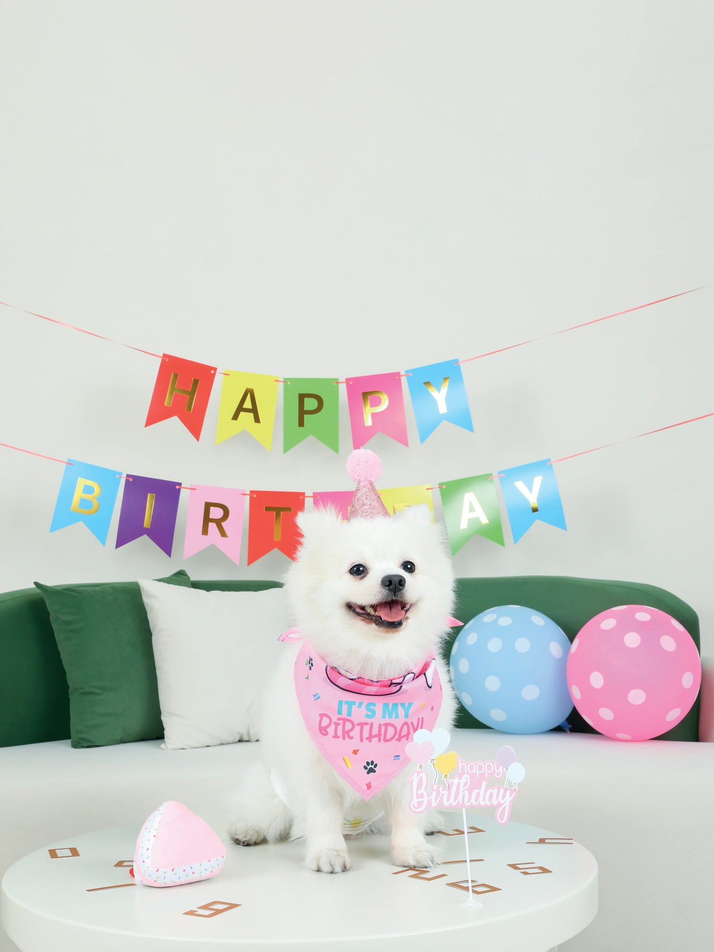 Accesorio Para Perro M-Pets Lady Set