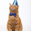 Accesorio Para Gato M-Pets Party Time Set Gentleman