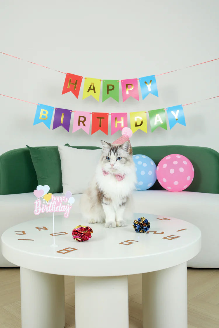 Accesorio Para Gato M-Pets Party Time Set Lady