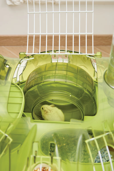 Juguete para hámster M-Pets Hamisaurio verde