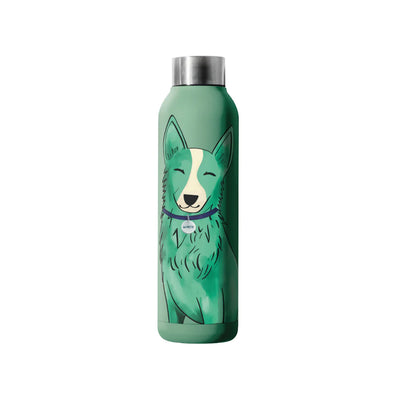 Pachon Acero Inoxidable M-Pets PetJoy