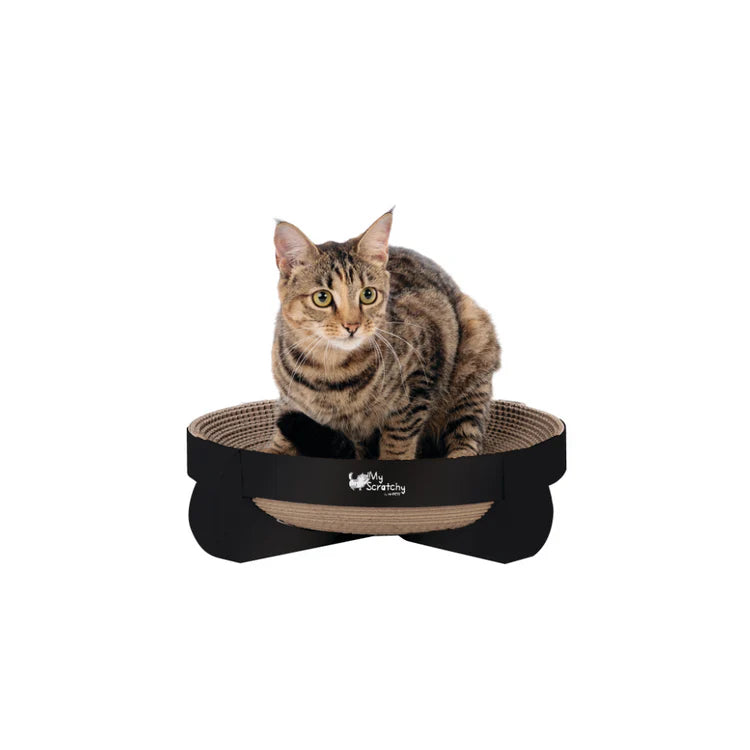 Rascador Para Gato M-Pets My Scratchy Cleveland
