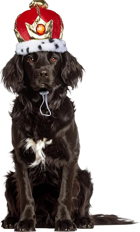 Disfraz Corona de Rey para Mascota - Rubies