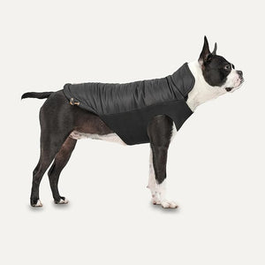 Jacket Perro Gooeez Mock Neck Signature Negra