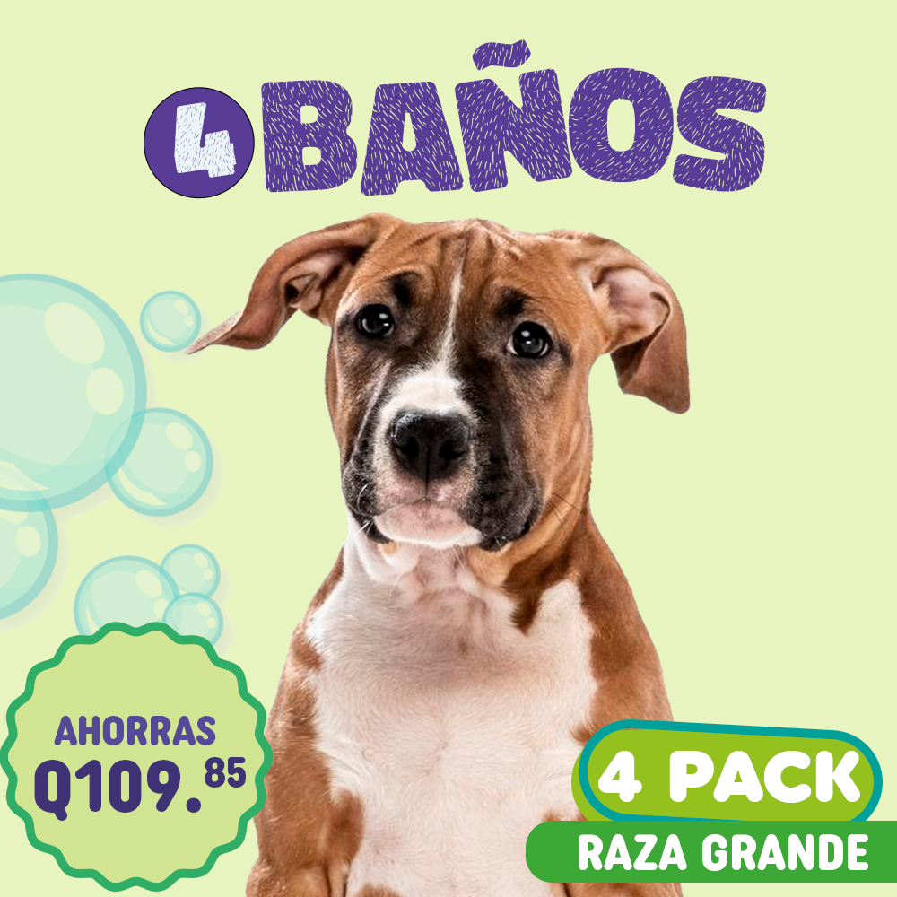 Baño 4Pack Raza Grande