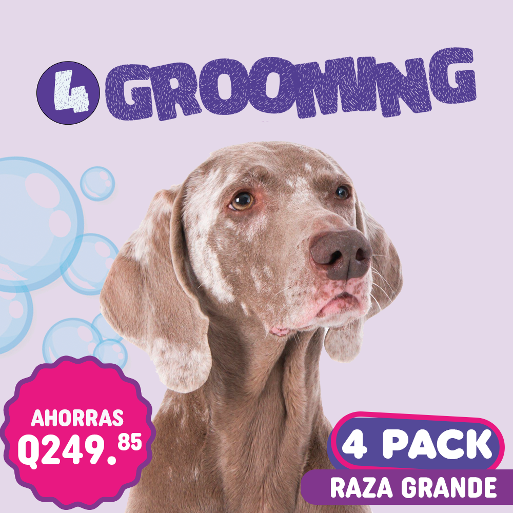 Grooming 4Pack Raza Grande