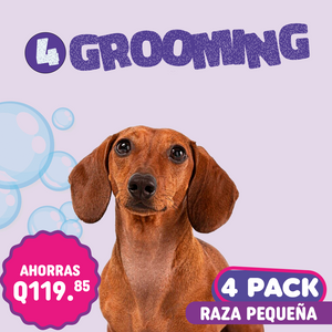 Grooming 4Pack Raza Pequeña